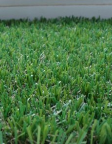 Искусственная трава  AQUA 220 PRINCE - высокое качество по лучшей цене в Украине.